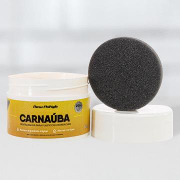 Carnaúba para Plásticos